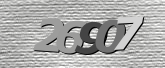 验证码图片