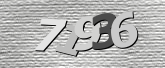 验证码图片