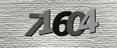 验证码图片