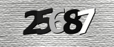 验证码图片