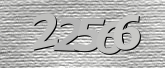 验证码图片